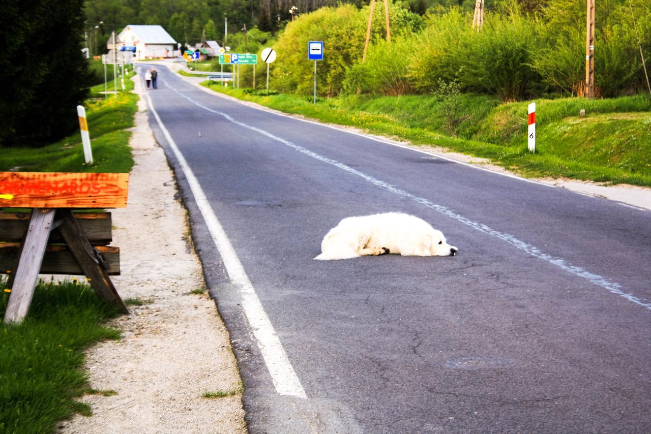 Kremenaros Vandrarhem Ustrzyki Górne Exteriör bild
